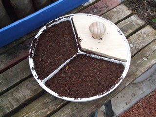 Growing medium in place and pressed Growing medium in place and pressed